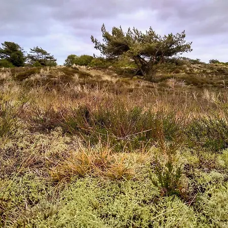 4 Person In Fano-by Traum Hébergement de vacances Fanø